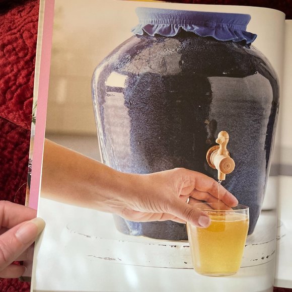 The Big Book of Kombucha Hardcover - Picture 3 of 7